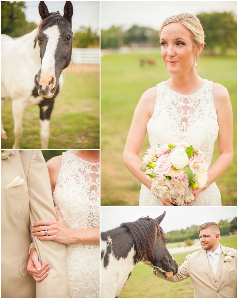 horses bride groom Saddle Woods Farm wedding
