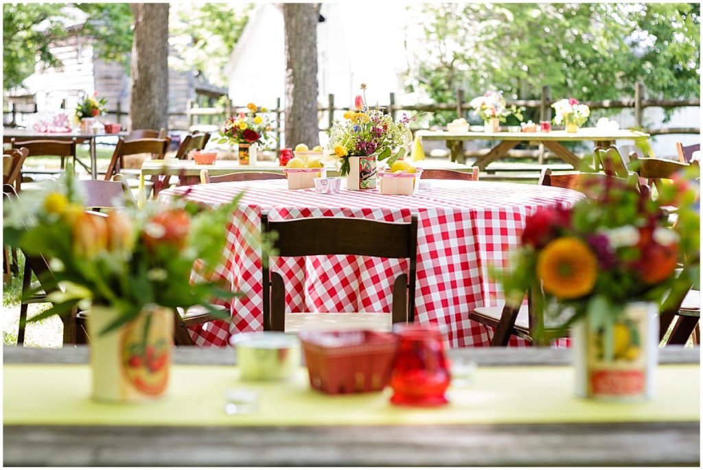 Tennessee summer picnic-inspired wedding
