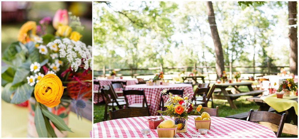 gingham check picnic summer Tennessee wedding